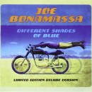 Joe Bonamassa - Different Shades of Blue (2014)