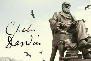 XII Alfonso