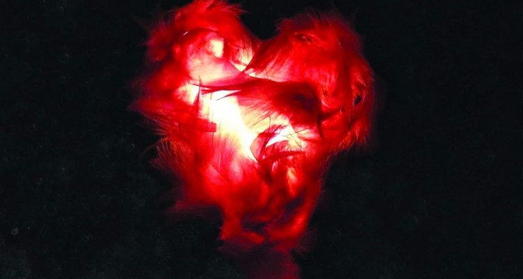 Panic Room - Incarnate (2014)