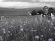 Heimat – Chronique d’un rêve – Exode de Edgar Reitz (2013) – Critique de Amarok Magazine