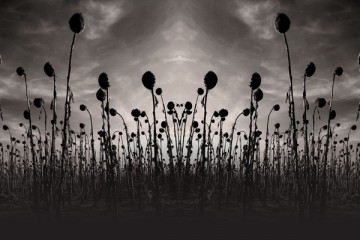 Dead Can Dance