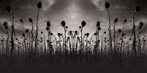 Dead Can Dance