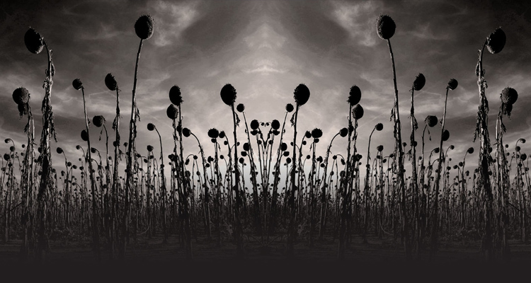 Dead Can Dance