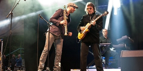 Steve Hackett