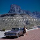 The Pineapple Thief - Your Wilderness (2016) The Pineapple Thief - Your Wilderness (2016)