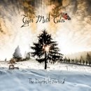 Tiger Moth Tales - The Depths of Winter (2017) Tiger Moth Tales - The Depths of Winter (2017)
