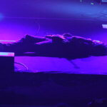 Steven Wilson