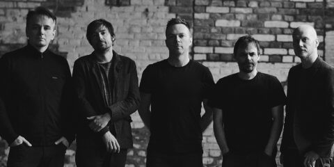 The Pineapple Thief