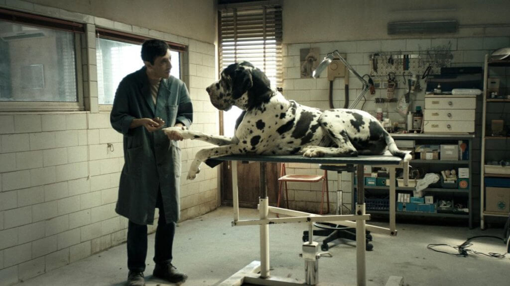 Dogman (2018)