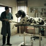 Dogman (2018)
