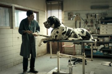 Dogman (2018)