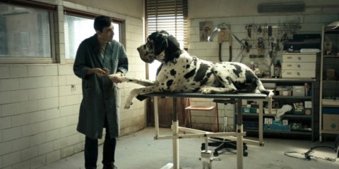 Dogman (2018)