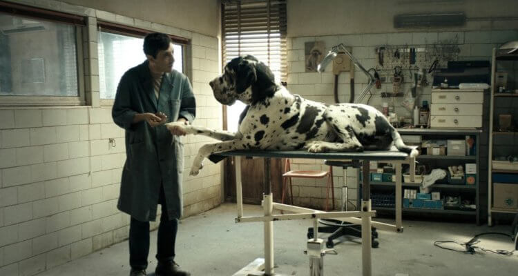Dogman (2018)