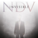 Nick D'Virgilio - Invisible (2020) Nick D'Virgilio - Invisible (2020)