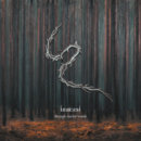 Lunatic Soul - Through Shaded Woods (2020) Lunatic Soul - Through Shaded Woods (2020)