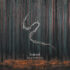 Lunatic Soul - Through Shaded Woods (2020) Lunatic Soul - Through Shaded Woods (2020)