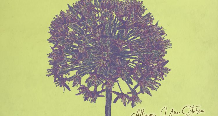 Tillison Reingold Tiranti