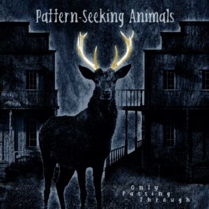 Pattern-Seeking Animals - Only Passing Through (2022) Pattern-Seeking Animals - Only Passing Through (2022)